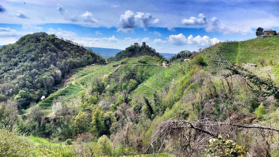 Agriturismo Al Credazzo Farra di Soligo Eksteriør bilde