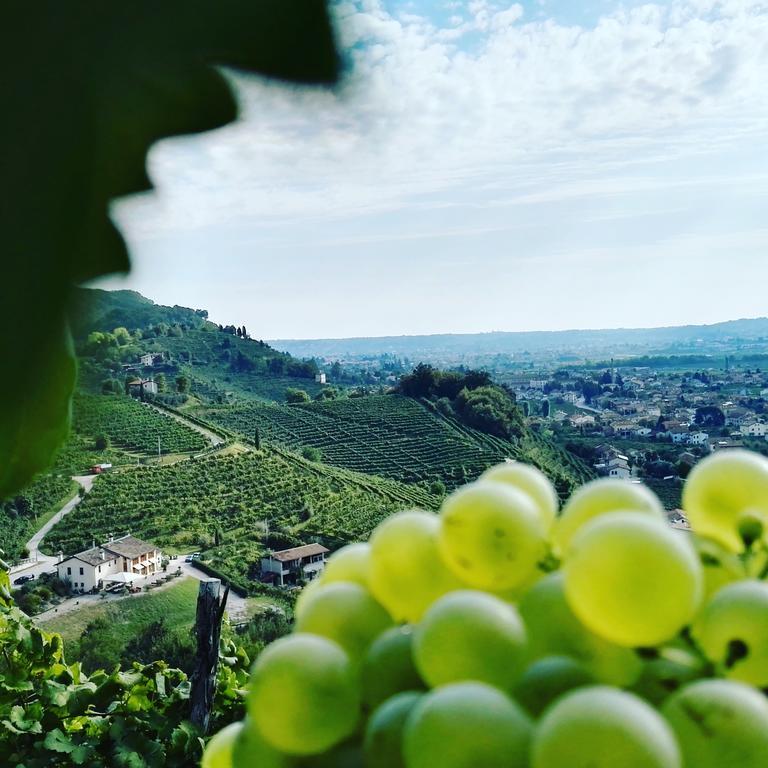 Agriturismo Al Credazzo Farra di Soligo Eksteriør bilde
